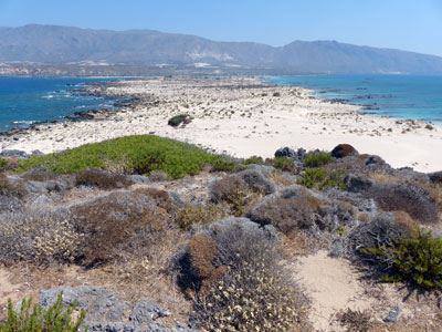 Elafonisi auf Kreta